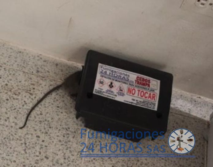 Productos de control físico