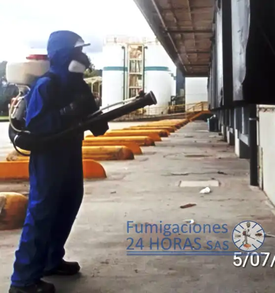 Control de Insectos Voladores y Rastreros