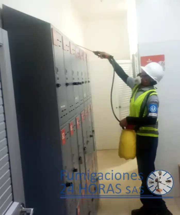 Control de insectos - foto original de Fumigaciones 24 horas SAS